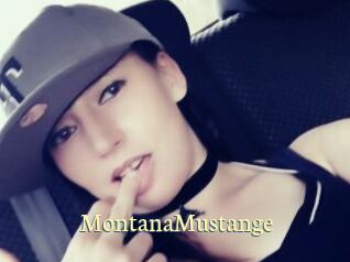 MontanaMustange Porn str8