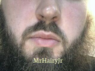 MrHairyJr