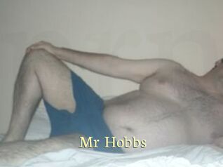 Mr_Hobbs