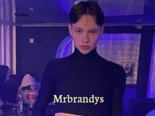 Mrbrandys Porn str8