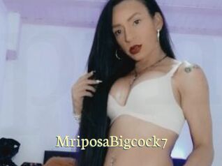 MriposaBigcock7 Porn str8