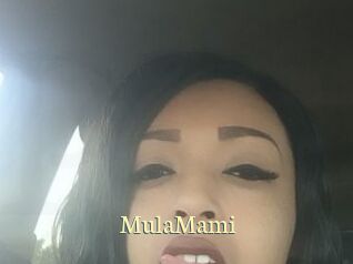 MulaMami Porn str8