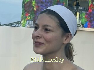 Malvinesley