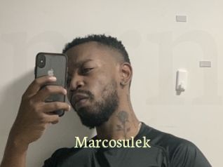 marcosulek Porn str8