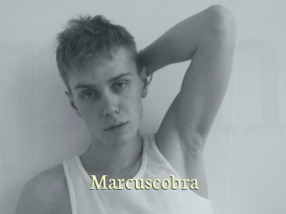 marcuscobra Porn str8