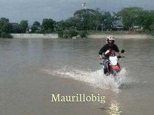 Maurillobig
