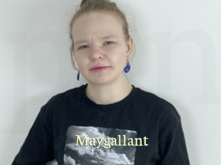 Maygallant