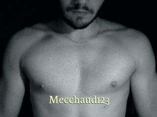Mecchaud123