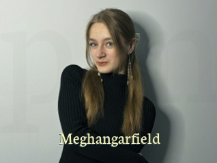 Meghangarfield