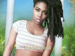 Modelmook