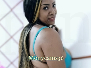 Monycams36