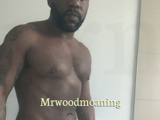 Mrwoodmoaning