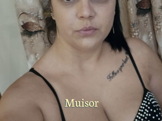 Muisor