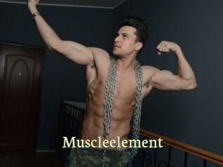 Muscleelement