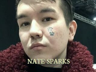 NATE_SPARKS