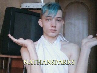 NATHAN_SPARKS