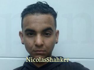 NicolasShahker Porn str8