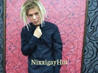 NixxigayHot Porn str8