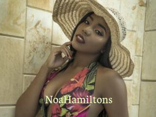 NoaHamiltons