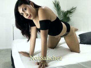 NoaSanchez