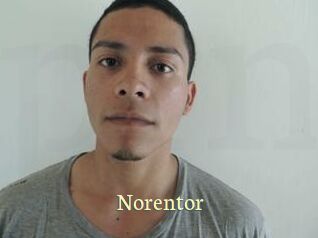 Noren_tor