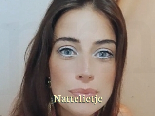 nattelietje Porn str8