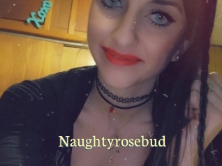 Naughtyrosebud