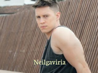 Neilgaviria