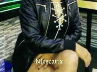 Nicecattx