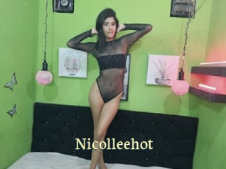 nicolleehot Porn str8