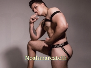 noahmarcatelli Porn str8