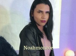 noahmonroe Porn str8
