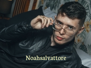 Noahsalvattore