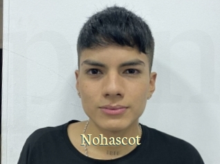 nohascot Porn str8