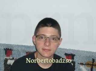 norbertobadzso Porn str8