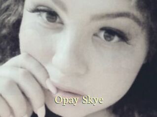 Opay_Skye