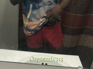 Orgasmic313