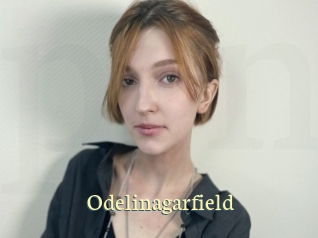 Odelinagarfield