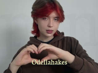 Odellahakes