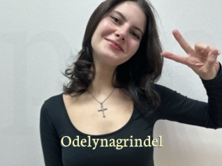 Odelynagrindel