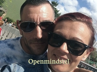 Openmindstel