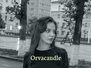 Orvacaudle