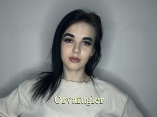 Orvafugler