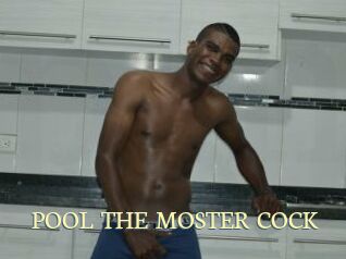 POOL_THE_MOSTER_COCK