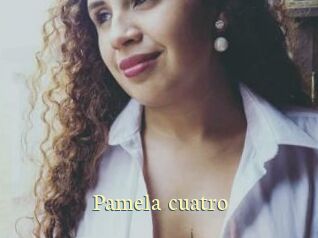 Pamela_cuatro Porn str8