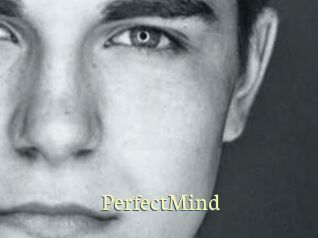 PerfectMind Porn str8