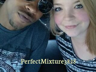 PerfectMixture3828
