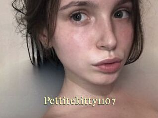 Pettitekitty1107