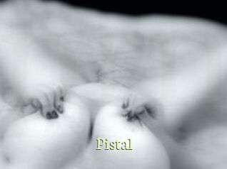 Pistal