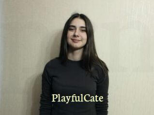 PlayfulCate Porn str8